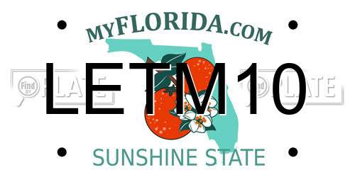 LETM10 Florida License Plate