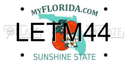LETM44 Florida License Plate