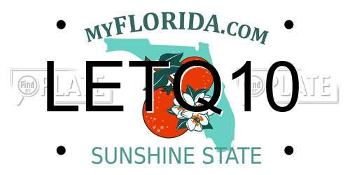 LETQ10 Florida License Plate