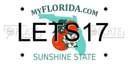 LETS17 Florida License Plate