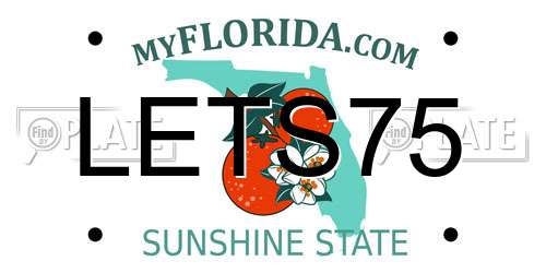 LETS75 Florida License Plate