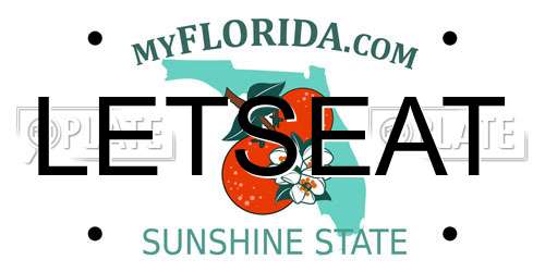 LETSEAT Florida License Plate
