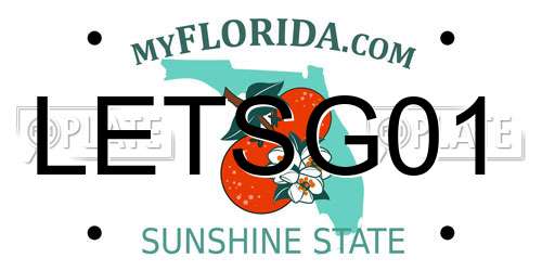 LETSG01 Florida License Plate