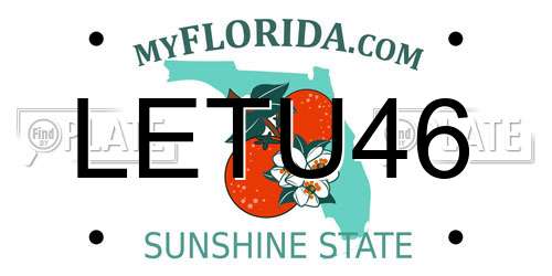 LETU46 Florida License Plate