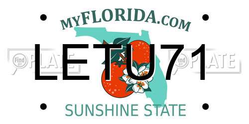 LETU71 Florida License Plate