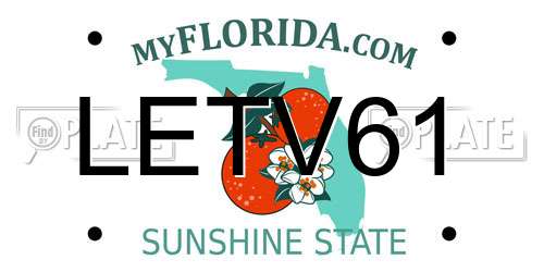 LETV61 Florida License Plate