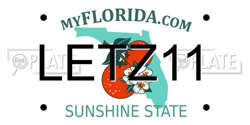 LETZ11 Florida License Plate