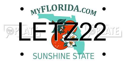 LETZ22 Florida License Plate