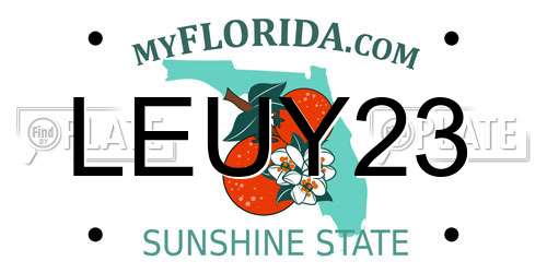 LEUY23 Florida License Plate
