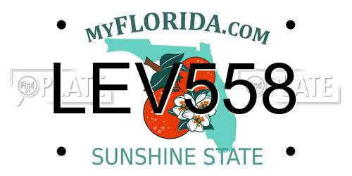 LEV558 Florida License Plate