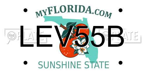LEV55B Florida License Plate
