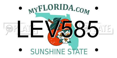 LEV585 Florida License Plate