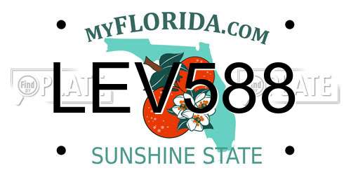 LEV588 Florida License Plate