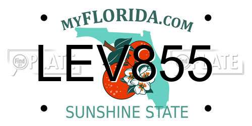 LEV855 Florida License Plate