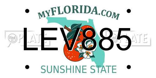 LEV885 Florida License Plate