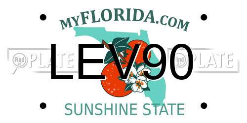 LEV90 Florida License Plate