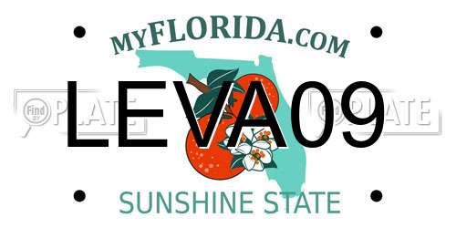 LEVA09 Florida License Plate