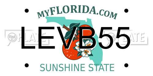 LEVB55 Florida License Plate