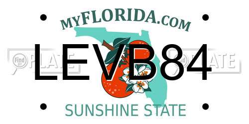 LEVB84 Florida License Plate