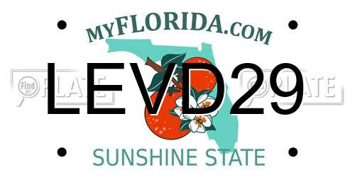 LEVD29 Florida License Plate
