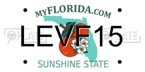 LEVF15 Florida License Plate