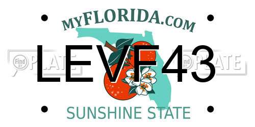 LEVF43 Florida License Plate