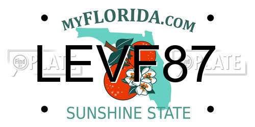 LEVF87 Florida License Plate