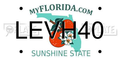 LEVH40 Florida License Plate
