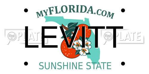 LEVITT Florida License Plate