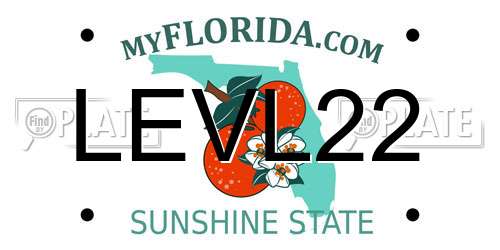 LEVL22 Florida License Plate