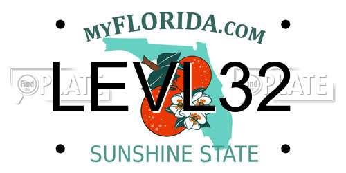 LEVL32 Florida License Plate
