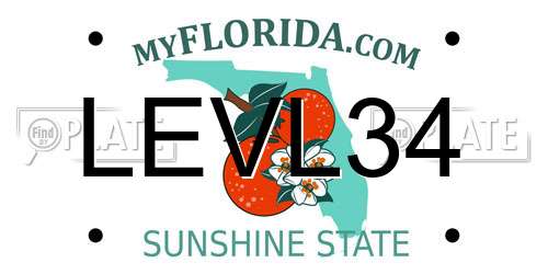 LEVL34 Florida License Plate