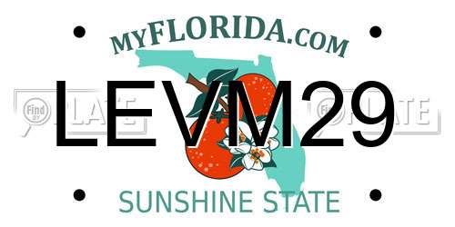 LEVM29 Florida License Plate