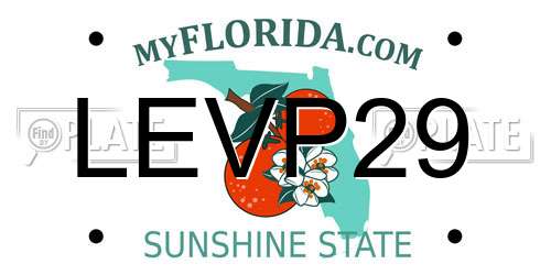 LEVP29 Florida License Plate