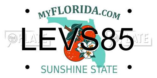 LEVS85 Florida License Plate