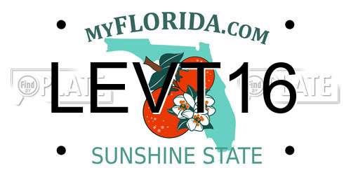 LEVT16 Florida License Plate