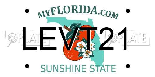 LEVT21 Florida License Plate
