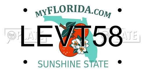LEVT58 Florida License Plate