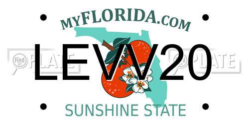 LEVV20 Florida License Plate