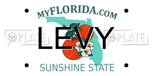 LEVY Florida License Plate
