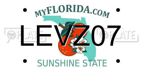 LEVZ07 Florida License Plate
