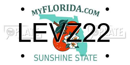LEVZ22 Florida License Plate