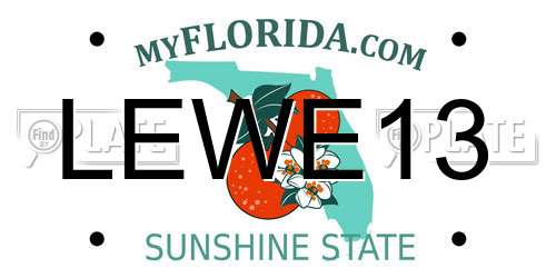 LEWE13 Florida License Plate