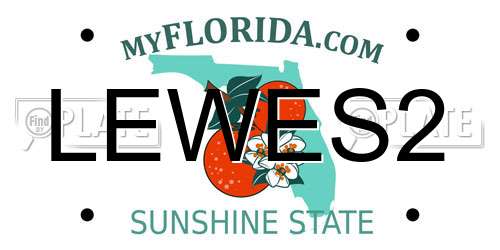 LEWES2 Florida License Plate