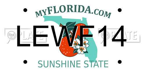 LEWF14 Florida License Plate