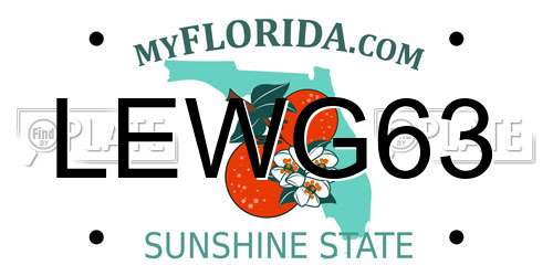 LEWG63 Florida License Plate