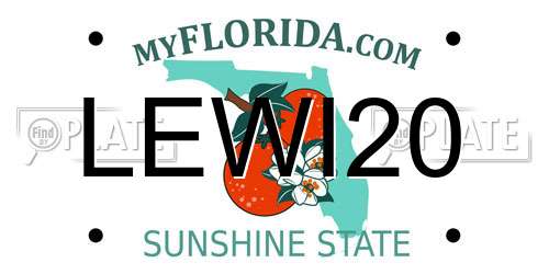 LEWI20 Florida License Plate