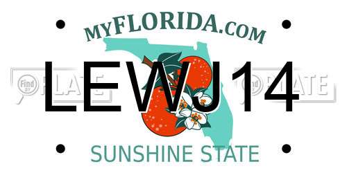 LEWJ14 Florida License Plate