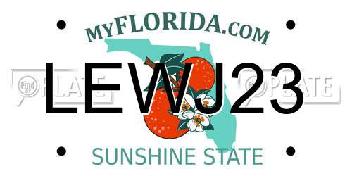 LEWJ23 Florida License Plate