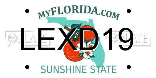 LEXD19 Florida License Plate